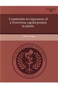 Constraints in Expression of a Norovirus Capsid Protein in Plants