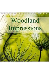 Woodland Impressions 2018