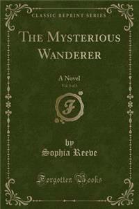 The Mysterious Wanderer, Vol. 3 of 3: A Novel (Classic Reprint)