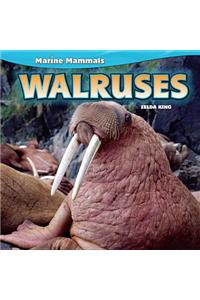 Walruses