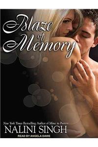 Blaze of Memory