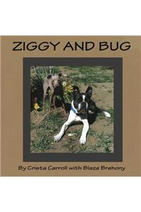 Ziggy and Bug