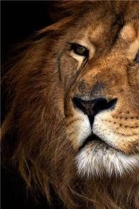 MindBlowing Cute Big Cats Journal 18