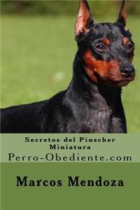 Secretos del Pinscher Miniatura