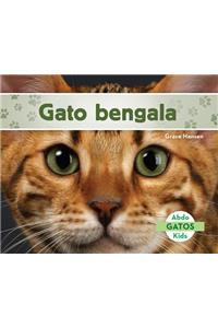 Gato Bengala (Bengal Cats) (Spanish Version)