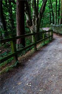 Path in Woods Journal