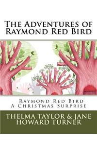 Raymond Red Bird A Christmas Surprise