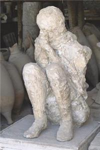 Sad Death in Pompeii Journal - Victim of Mt Vesuvius Eruption
