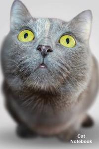 Cat Notebook