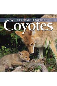 Exploring the World of Coyotes