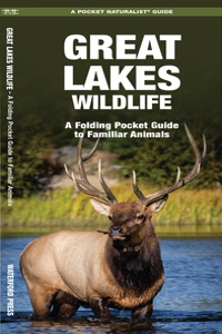 Great Lakes Wildlife