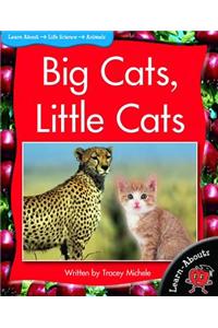 Big Cats, Little Cats