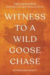 Witness to a Wild Goose Chase