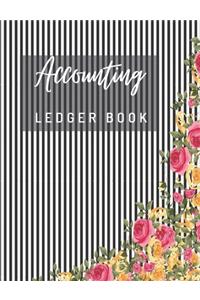 Accounting Ledger Book
