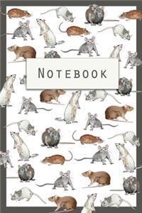 Rat Notebook