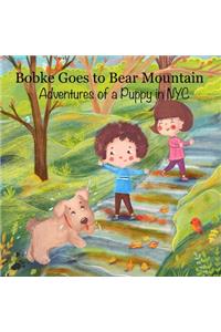 Bobke Goes to Bear Mountain