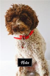 Poodle Dog Pup Puppy Doggie Notebook Bullet Journal Diary Composition Book Notepad - Bushy Fur