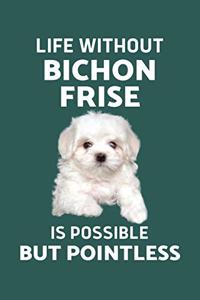 Life Without Bichon Frise Is possible but Pointless