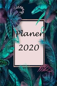 Planer 2020