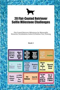 20 Flat-Coated Retriever Selfie Milestone Challenges