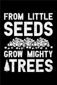 From Little Seeds Grow Mighty Trees