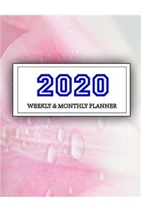 2020 Planner Weekly and Monthly