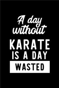 A Day Without Karate Is A Day Wasted