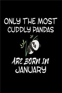 Only The Most Cuddly Pandas Are Born In January