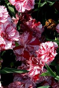 2019 Weekly Planner Flowers Pretty Carnations 134 Pages