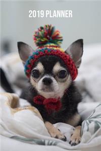 Chihuahua Planner 2019
