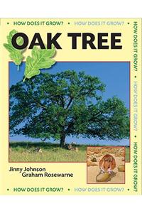 Oak Tree