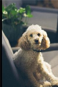 Journal Pages - Couch Dog(Unruled)