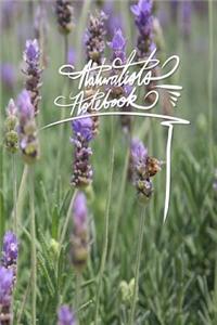 Naturalists Notebook