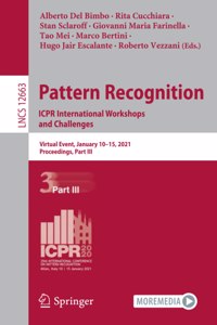 Pattern Recognition. ICPR International Workshops and Challenges