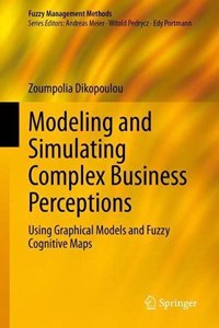 Modeling and Simulating Complex Business Perceptions