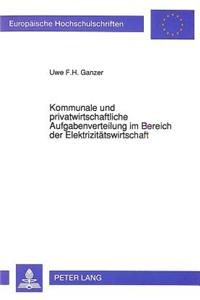 Kommunale und privatwirtschaftliche Aufgabenverteilung im Bereich der Elektrizitaetswirtschaft