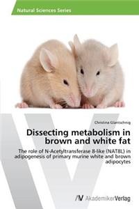 Dissecting metabolism in brown and white fat