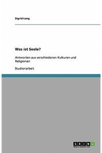 Was Ist Seele?