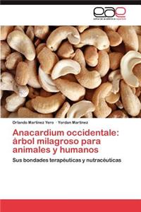 Anacardium Occidentale