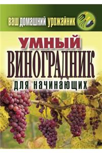 Ваш домашний урожайник. Умный винограднl