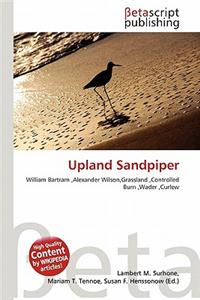 Upland Sandpiper