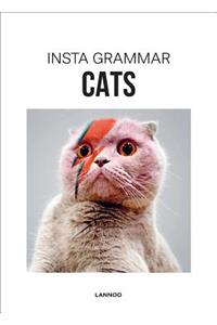 Insta Grammar: Cats