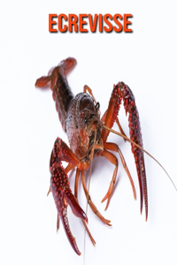 Ecrevisse