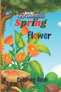 Beautiful Spring Flower Coloring Book