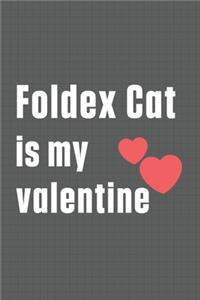 Foldex Cat is my valentine