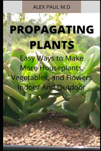 Propagating Plants