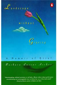 Landscape without Gravity