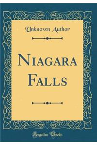 Niagara Falls (Classic Reprint)