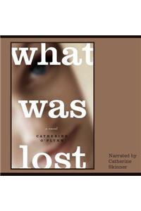 What Was Lost Lib/E