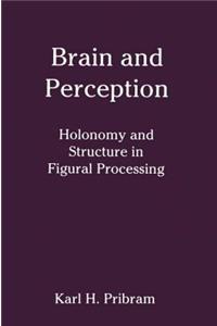 Brain and Perception